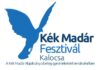 Internetre költözik a kalocsai Kék Madár Fesztivál