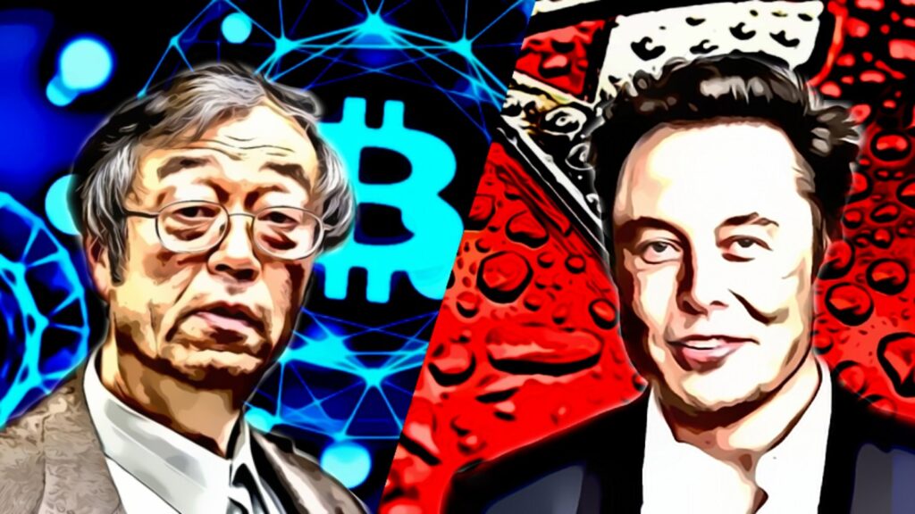 Bitcoin vs Tesla
