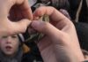 Gyerekeket avattak be a madárgyűrűzés rejtelmeibe – videó