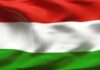 Fellobogózná a Március 15. utcát Józsa Bálint képviselő