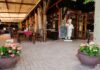 Kecskemétre látogatott a Street Kitchen stábja Fekete Gólya étterem