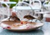 Kedves kollégák, hamarosan érkezik a reggeli maradék – szólt a hangosbemondó egy pedagógusoknak tartott rendezvényen Szolnokon