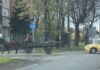 Lovaskocsival vontatták a Suzukit Kecskeméten (videóval)