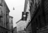 1956 egyszerre magyar és európai