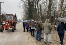 Lakossági fórum után: tarvágás és megújulás jön a katonatelepi véderdőben – videóval