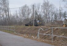 Kisebb baleset is történt a katonatelepi véderdő kivágása közben