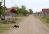 Jó tíz éve 180 ezer forintot fizettek be az aszfaltos útra, de az máig nem épült meg
