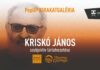 Pop-up kiállítás: ismét kirakatba kerül a kultúra a Múzeumok Éjszakáján
