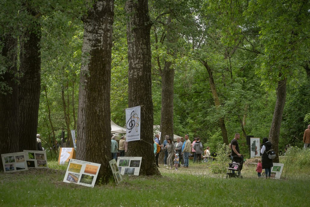Muzsikál az erdő rendezvény