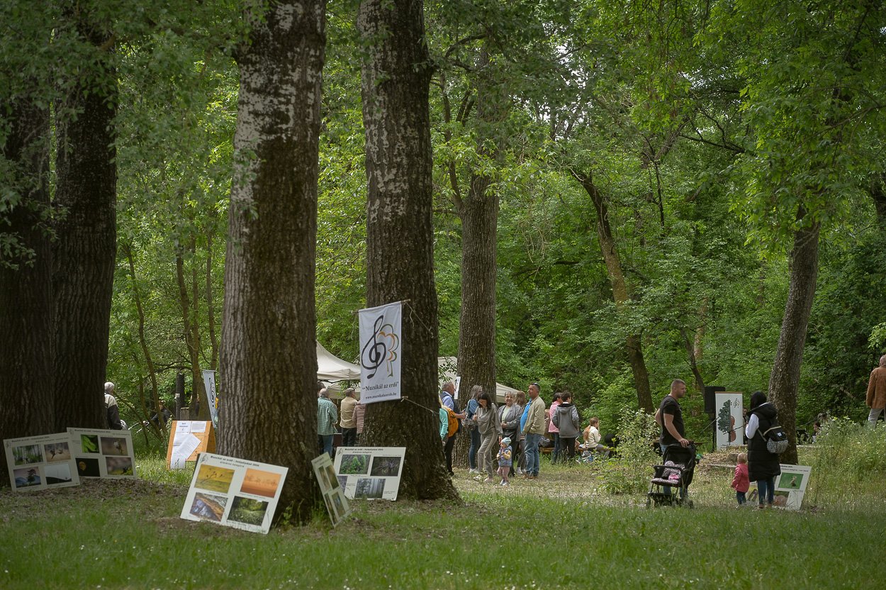 Muzsikál az erdő rendezvény